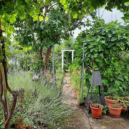 Apartment Neugaerten *