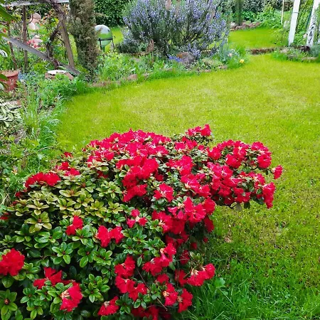 Neugaerten Appartamento *