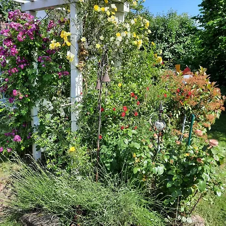 Neugaerten Apartment