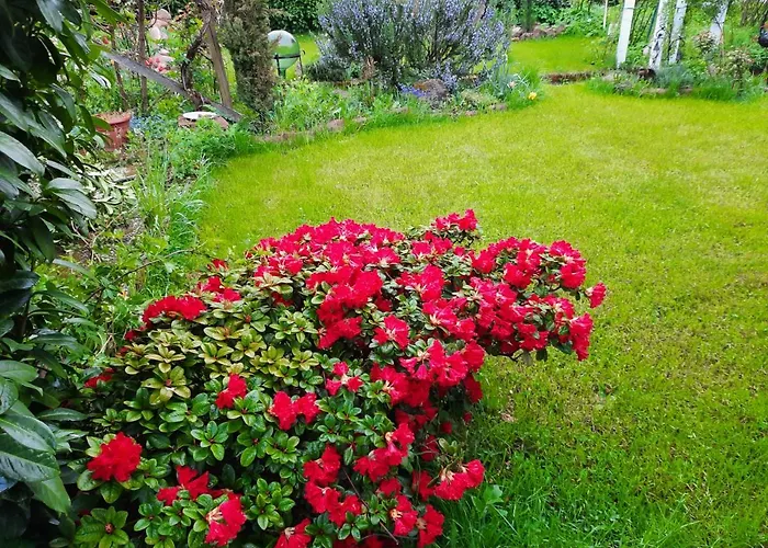 Neugaerten Apartamento *