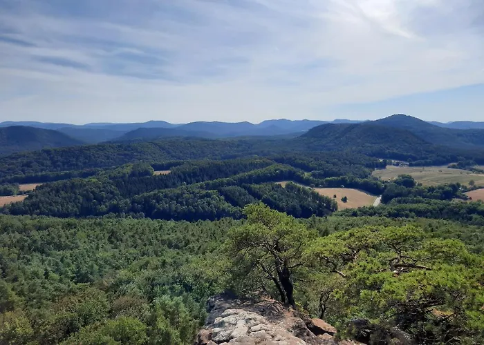 Apartamento Neugaerten *