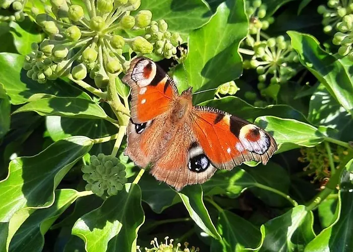 Neugaerten Apartamento Busenberg