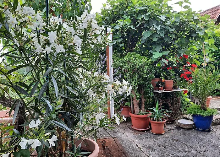 Apartamento Neugaerten *